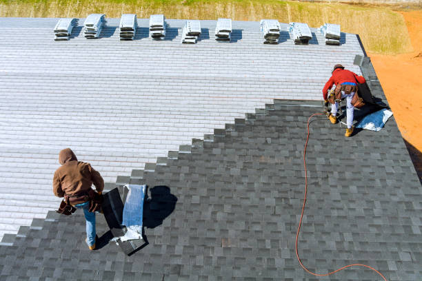 Best Roof Gutter Cleaning  in Gregory, TX