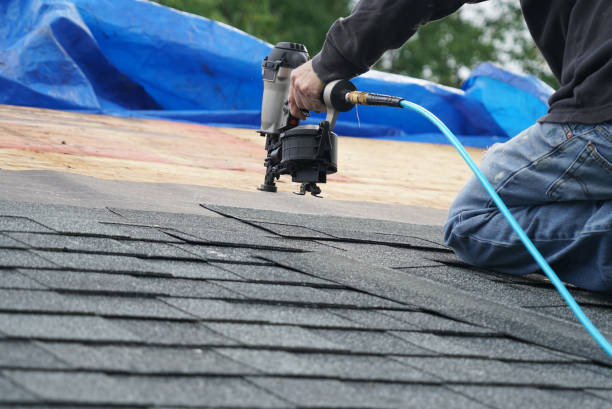 Best Metal Roofing Contractor  in Gregory, TX